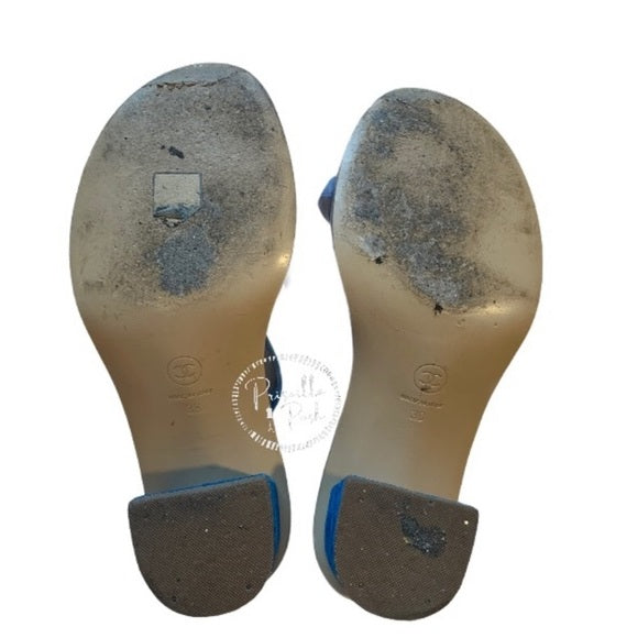 Chanel Medusa Blue Suede Block Heel Sandal Slide