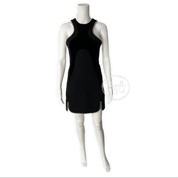 NWT ALEXANDER WANG Ball-chain Accent Paneled Dress In Black $1495 Runway Dress